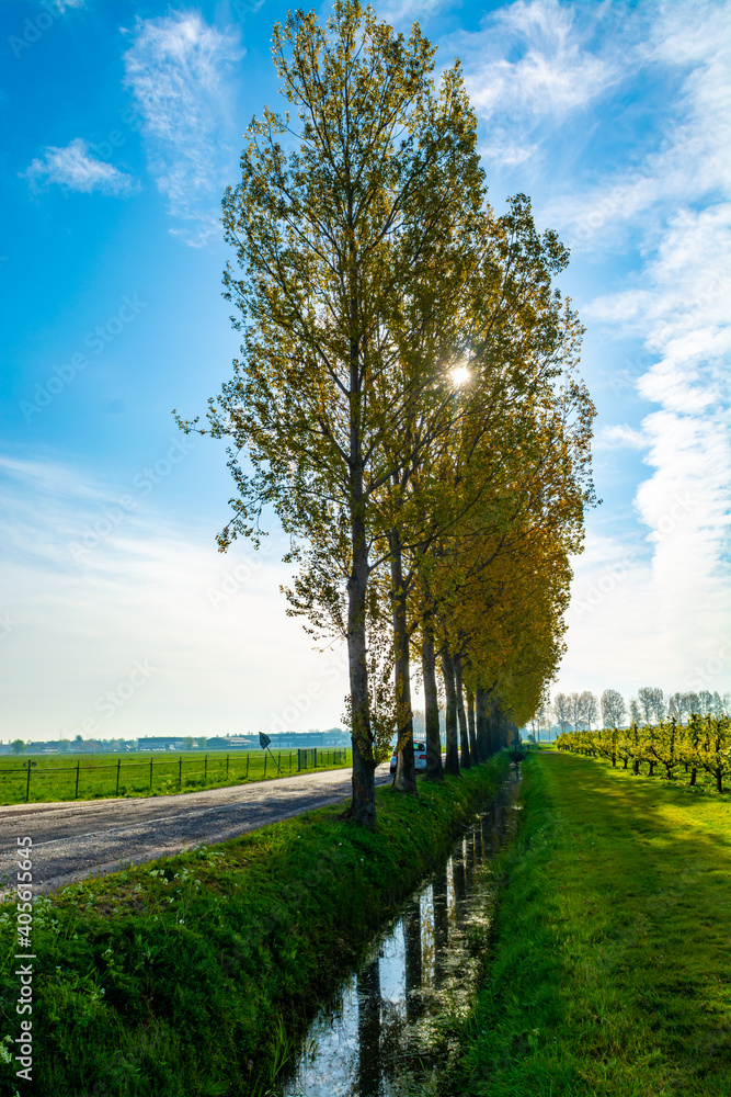 Spring nature landscape in Betuwe, Gelderland, Netherlands Spring nature landscape in Betuwe, Gelderland, Netherlands
