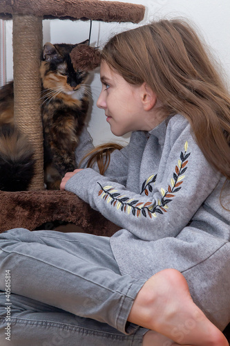 teenage girl playing with domestic mongrel cat in a cozy home environment