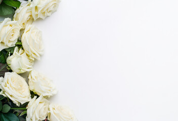 White roses on white background