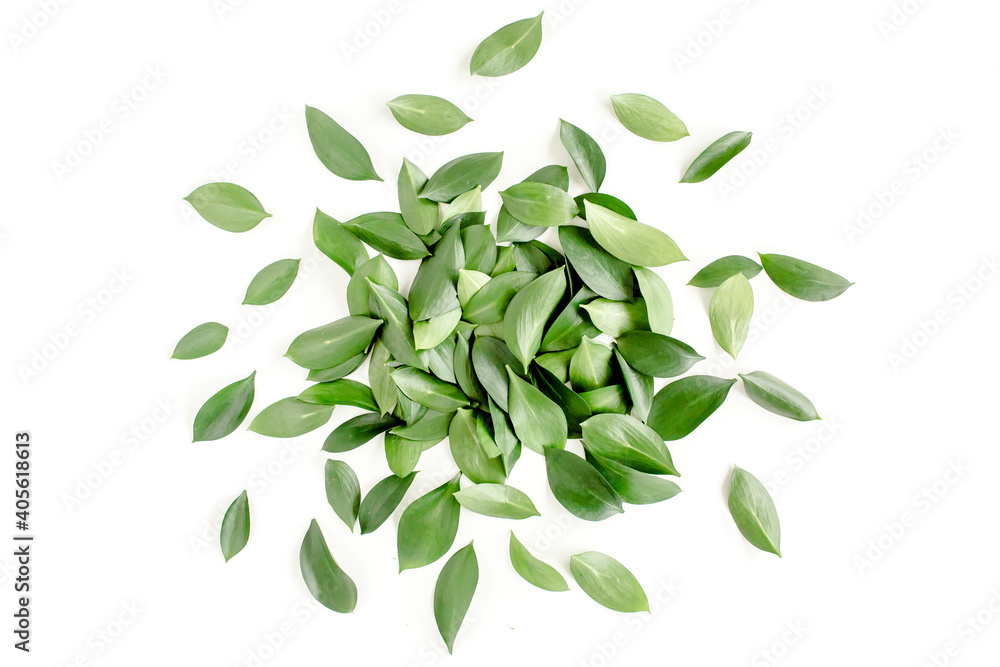 Pattern, texture with green leaves isolated on white background. flat lay, top view Pattern, texture with green leaves isolated on white background. flat lay, top view