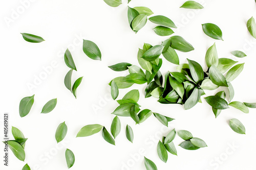 Pattern  texture with green leaves isolated on white background. flat lay  top view