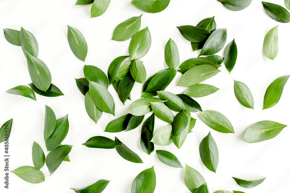 Pattern, texture with green leaves isolated on white background. flat lay, top view