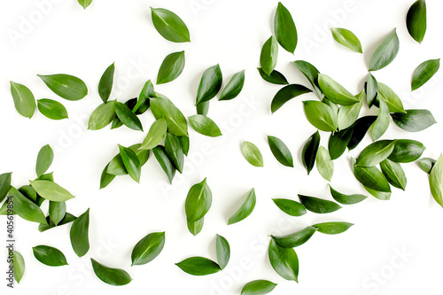Pattern, texture with green leaves isolated on white background. flat lay, top view