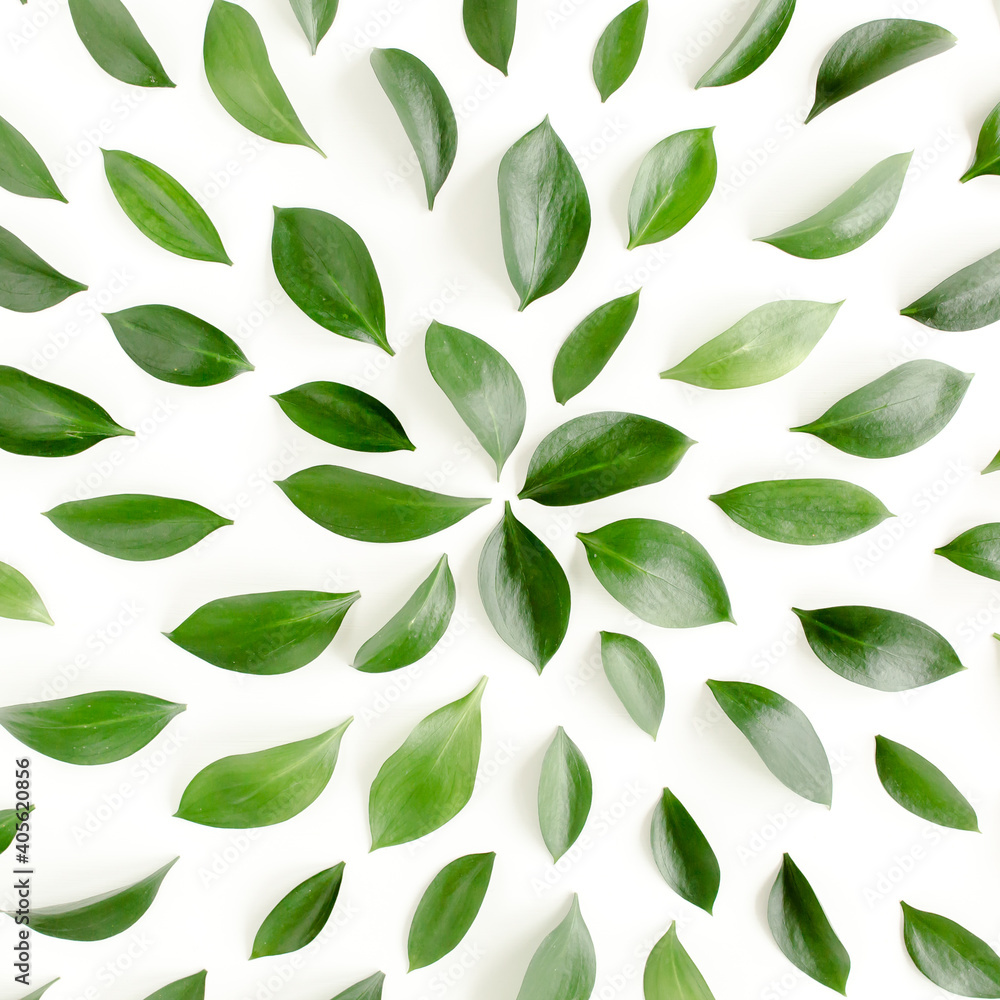 Naklejka premium Pattern, texture with green leaves isolated on white background. flat lay, top view