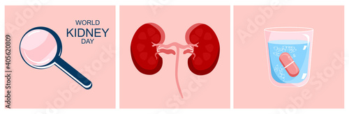 World Kidney day horizontal banner.Nephrology.Pyelonephritis and renal failure disease.Human organ,magnifier and glass of water with pill.Stones,chronic illness.Problem with filtration,dialysis.Vector