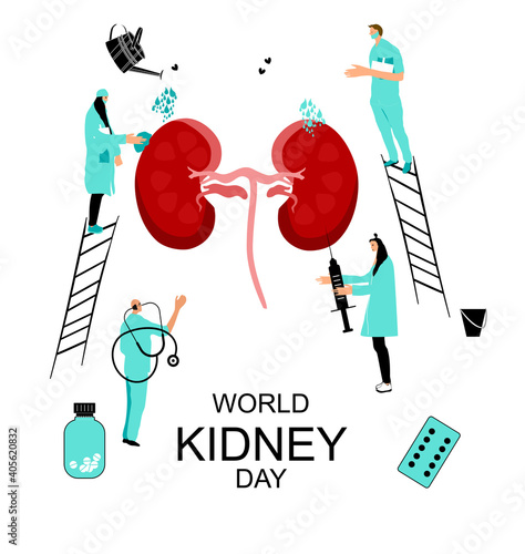 World Kidney Day concept.Doctors protect,care and treat human organ.Medical equipment. Pyelonephritis disease.Tumor or cancer.Problem with metabolism or filtration,dialysis. Drink more water. Vector.