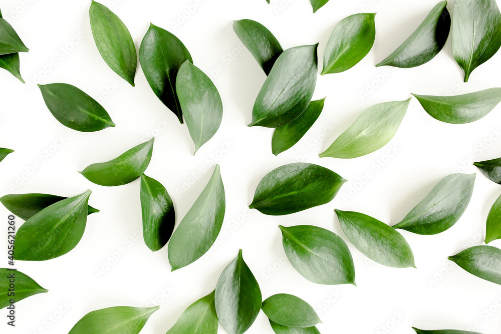 Pattern, texture with green leaves isolated on white background. flat lay, top view