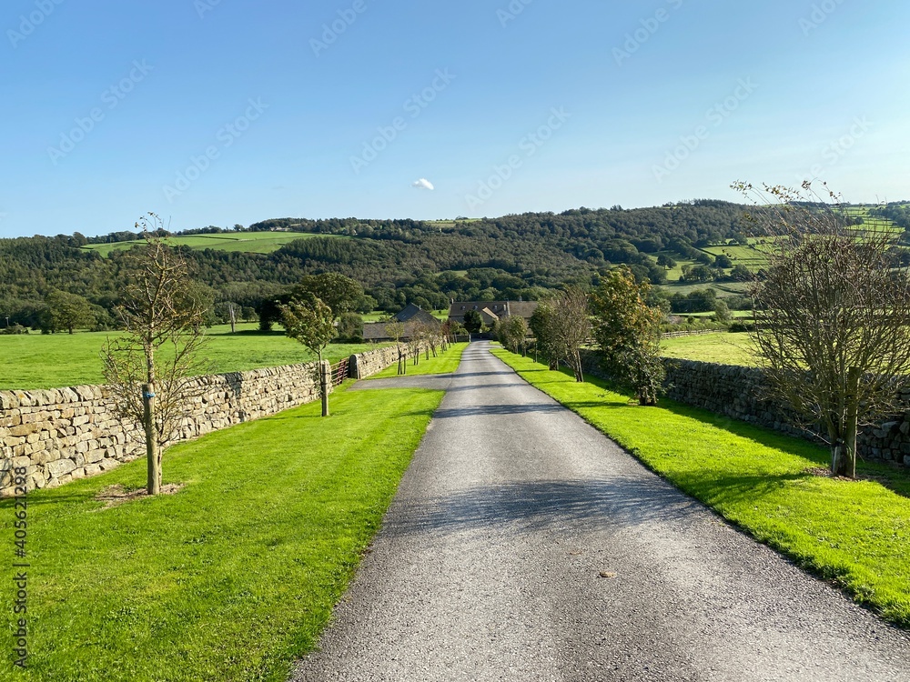 Narrow lane, leading from the B165 road, with trees and hills in the distance in, Hartwith cum Winsley, Harrogate, UK