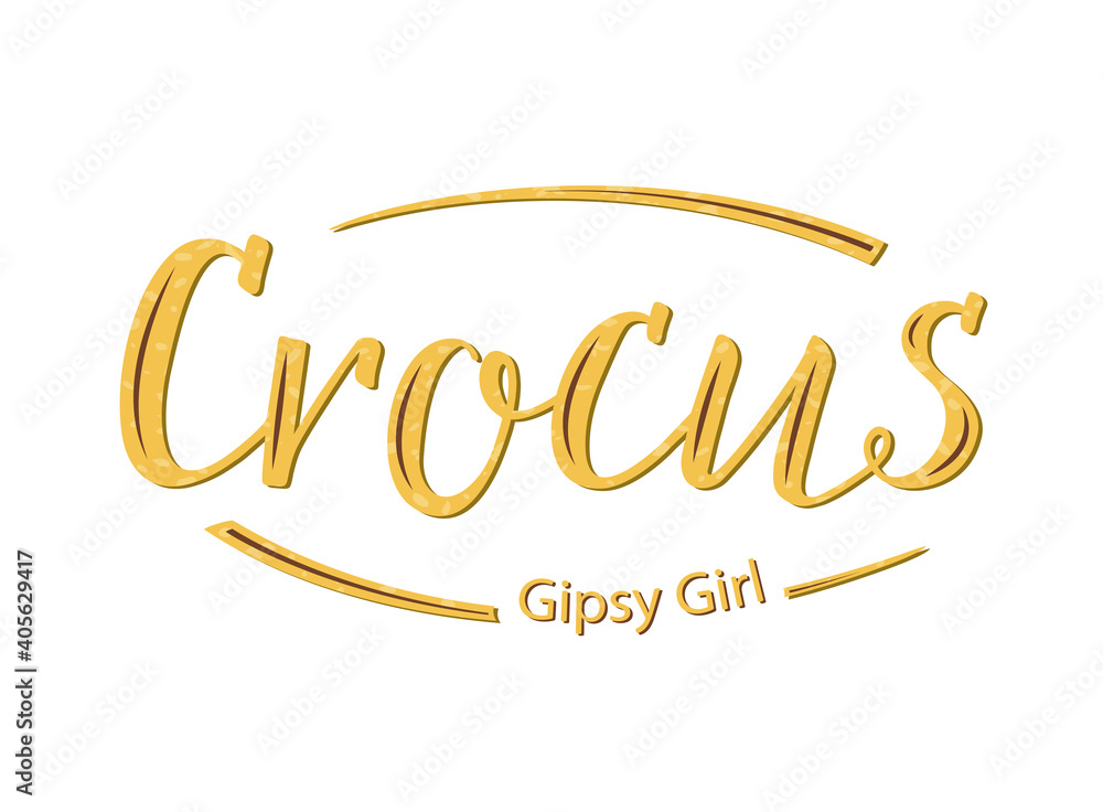 Crocus Gipsy Girl handwritten Lettering. Yellow letters with brown stripes as yellow flowers with brown stripes of the crocus variety Gipsy Girl. For seeds and bulbs packing, gardening shop, website Crocus Gipsy Girl handwritten Lettering. Yellow letters with brown stripes as yellow flowers with brown stripes of the crocus variety Gipsy Girl. For seeds and bulbs packing, gardening shop, website