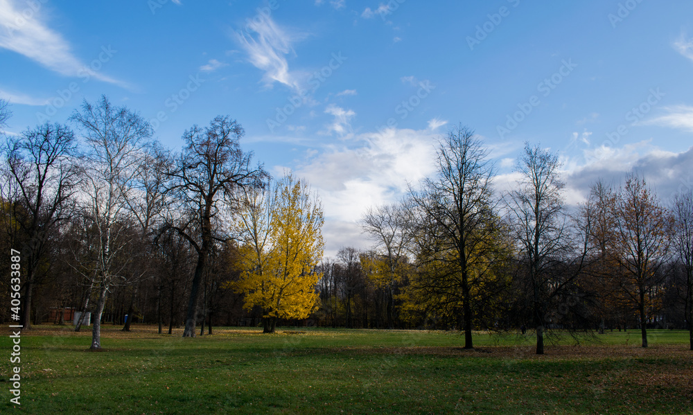 autumn landscape with trees and sky autumn landscape with trees and sky