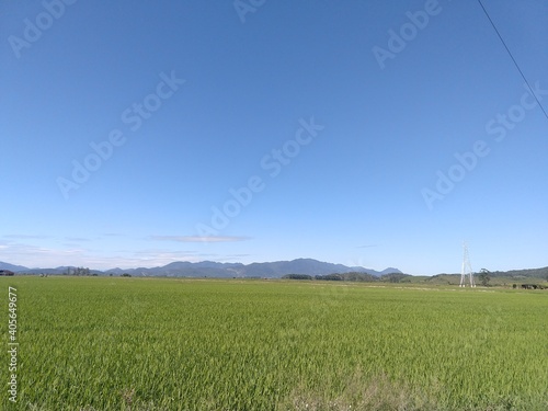 field and blue sky