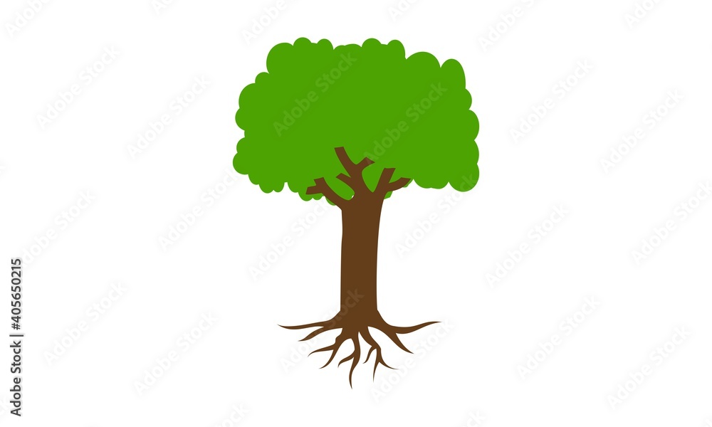 Obraz premium Tree illustration vector