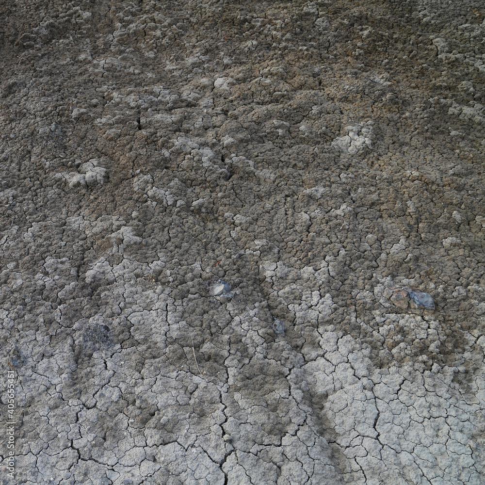 Texture of the dried earth with clay and sand, close-up. Dry cracked earth background, clay desert texture. Texture of the dried earth with clay and sand, close-up. Dry cracked earth background, clay desert texture.
