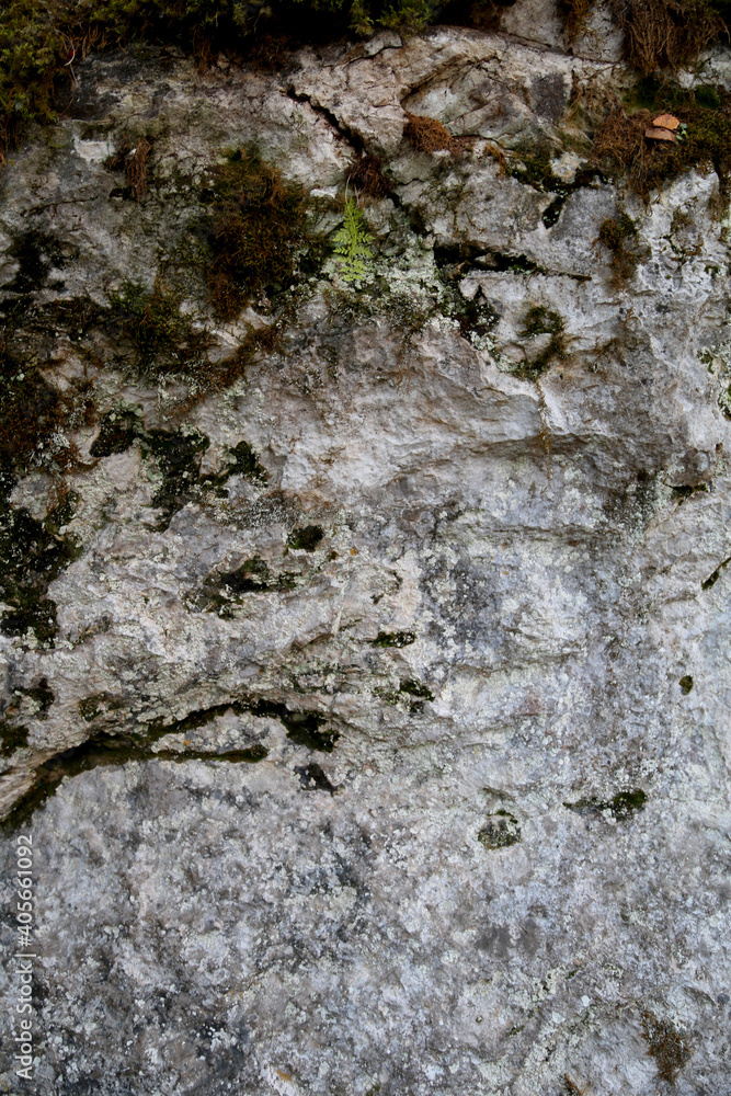 The texture of the rock. Mountain cliff of rock surface. Natural cave wall. The texture of the rock. Mountain cliff of rock surface. Natural cave wall.