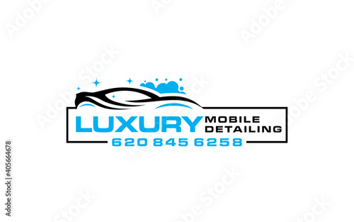 Illustration vector graphic of auto detailing servis logo design template-06
