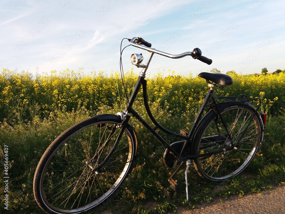 Naklejka premium Bicicleta Vintage