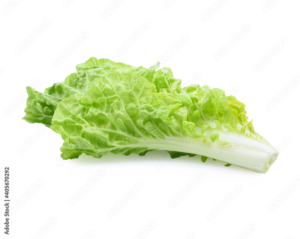 Salad leaf. Lettuce isolated on white background. Salad leaf. Lettuce isolated on white background.