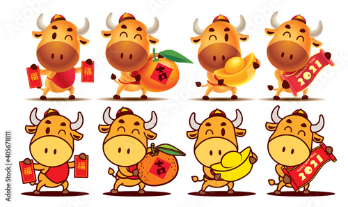 Happy Chinese New Year 2021. Cartoon Ox character series. Cartoon cute Ox character set holding Red Packet  Tangerine Orange  Gold Ingot and Scroll couplet. The year of the Ox. Translation  lucky