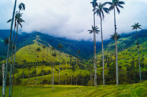Colombia
