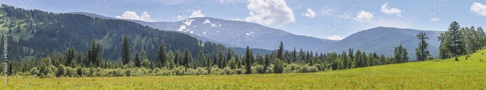 Panoramic view, spring landscape, Altay Mountains. Flowering meadow, forest and snow on the tops.