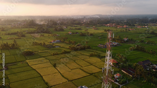 фотографія 5g telecom tower antenna at sunset in the rice field green land natural landscap