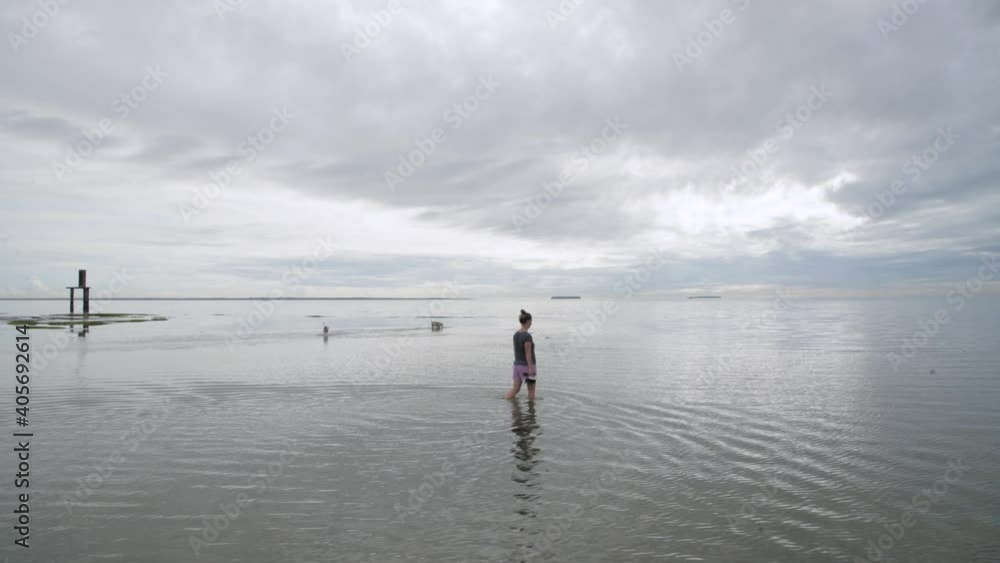Young woman walks dogs in shallow water Young woman walks dogs in shallow water