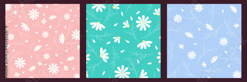 Set of seamless patterns of chamomile or daisies. 3 endless ornaments on blue, green and pink backgrounds. For textiles, baby clothes, wallpaper, wrapping paper, napkins, disposable cups. Vector. Flat
