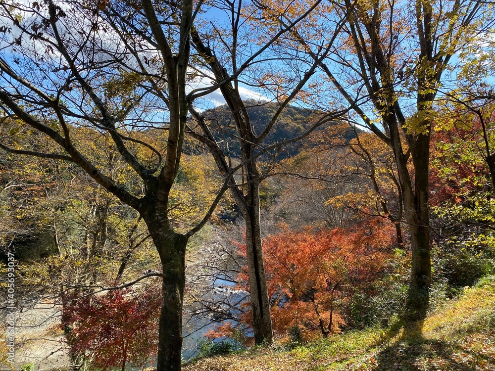 Natural scape in the Ranzan Valley in  Ranzan-Town, Hiki-District, Saitama Prefecture, Japan.