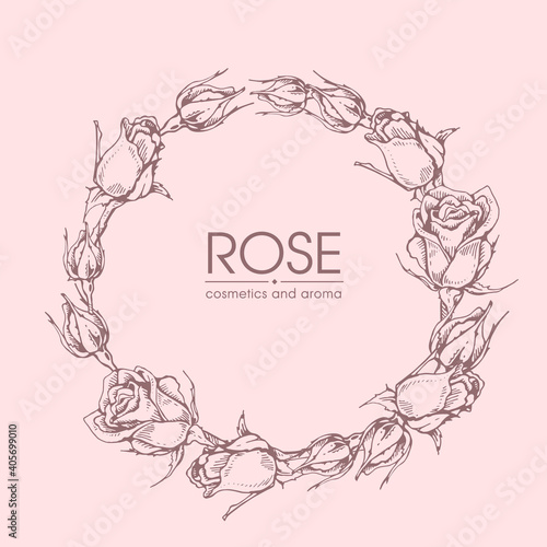 Frame with Roses . Detailed hand-drawn sketches, vector