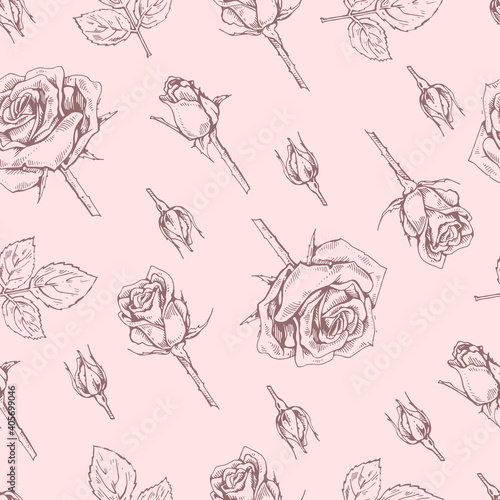 Seamless Pattern with Roses . Detailed hand-drawn sketches, vector
