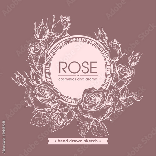 Frame with Roses . Detailed hand-drawn sketches, vector