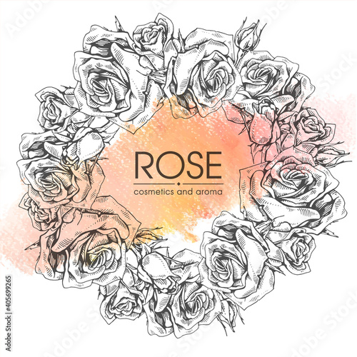 Frame with Roses . Detailed hand-drawn sketches, vector