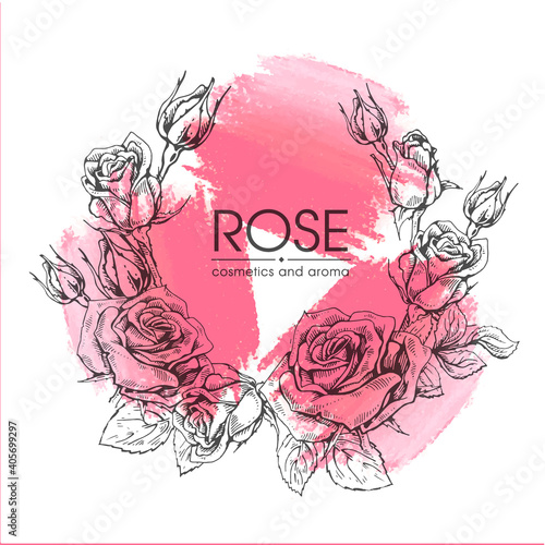 Frame with Roses . Detailed hand-drawn sketches, vector
