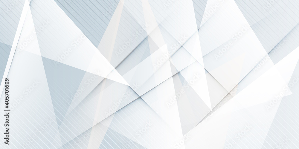 Fototapeta premium Abstract grey hi-tech polygonal corporate background. Abstract white and grey on light silver background modern design. Vector illustration