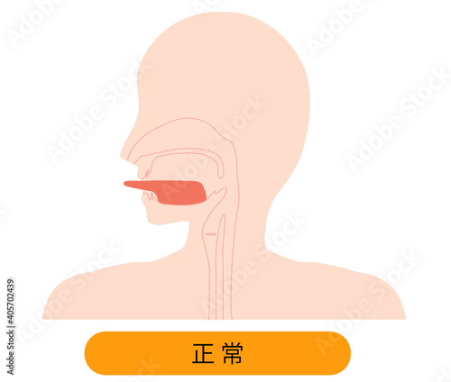 正常な舌のイラスト　