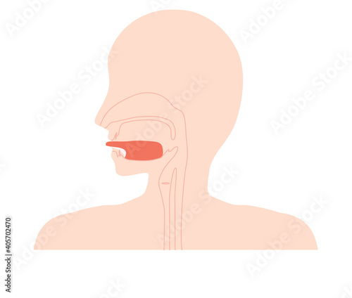 舌小帯短縮症で伸ばせない舌のイラスト　