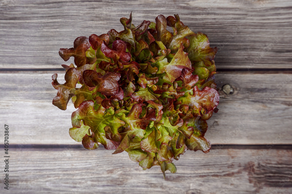 Top view Red oak lettuce on wooden table. Top view Red oak lettuce on wooden table.