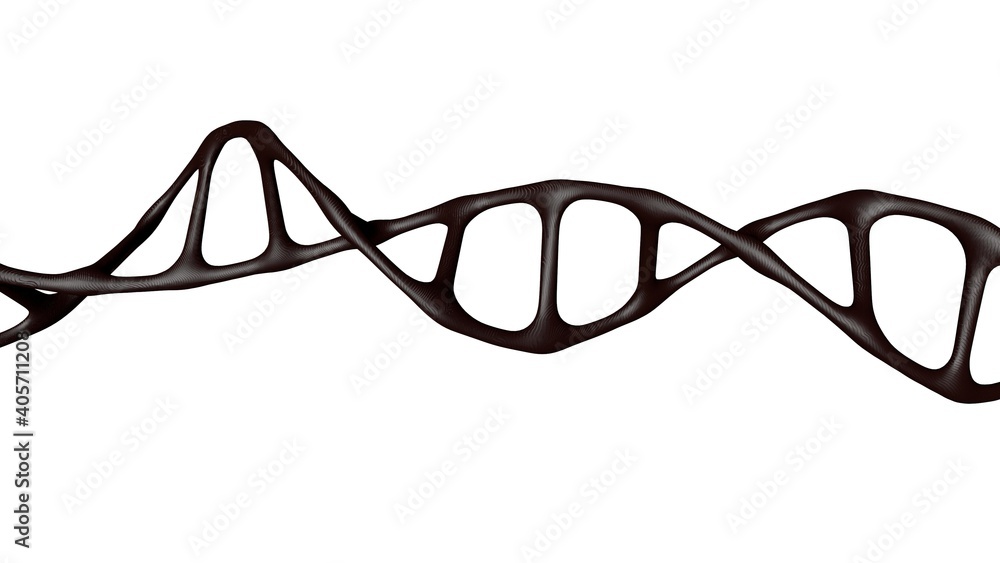 DNA molecule gene isolated. Stores the genetic program. DNA molecule gene isolated. Stores the genetic program.