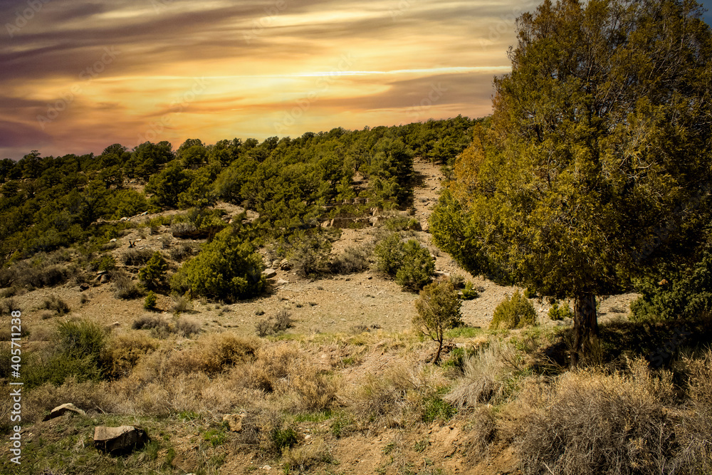 Looking up Hill