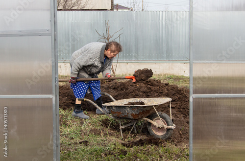 A woman with a shovel digs manure in a vegetable garden