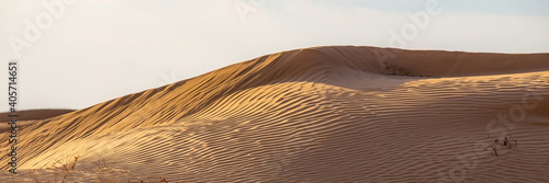 Huge dunes of the desert. Beautiful structures of sandy barkhan or sand-dune. Waves by wind on sand surface