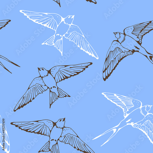 Swallow and House Martin birds vector pattern, hand drawn seamless background