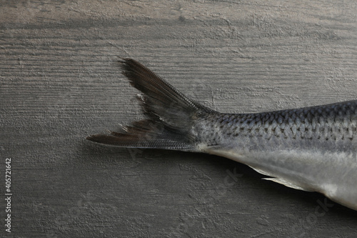 Herring fish tail on gray wooden background © Atlas