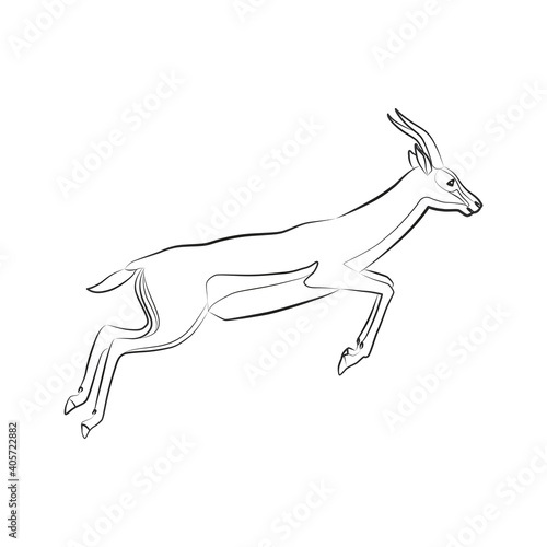 Thomson's gazelle. Outlined silhouette illustration of a jumping Thomson's gazelle isolated on a white background. Vector 10 EPS.