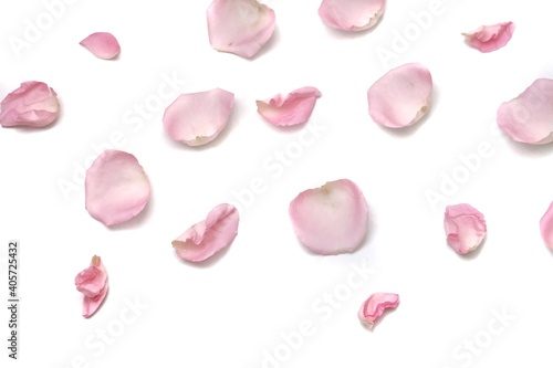 Blurred a group of sweet pink rose corollas on white isolated background with copy space