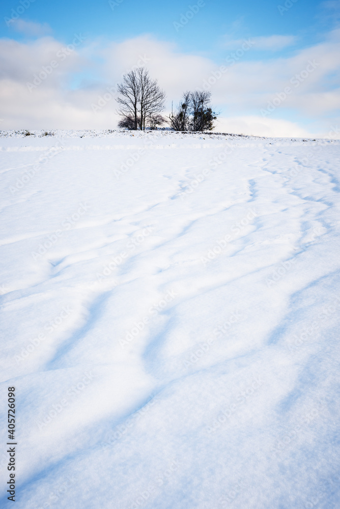 Tracks in fresh snow in lower austria