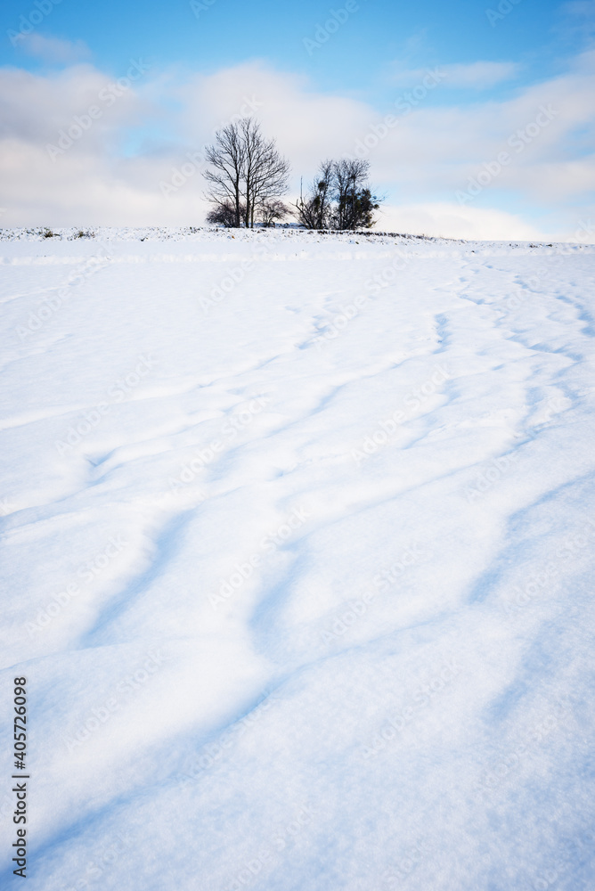 Tracks in fresh snow in lower austria Tracks in fresh snow in lower austria