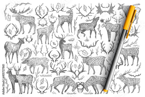 Forest wild deers doodle set. Collection of hand drawn deers with horns living in wild nature playing fighting isolated on transparent background. Illustration of animals for kids