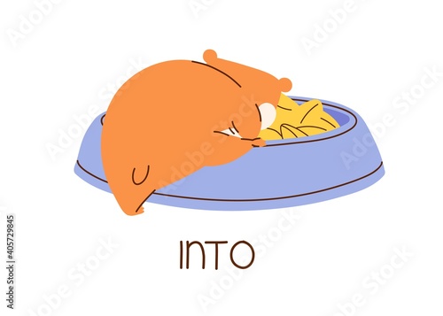 Cute hamster demonstrating English preposition of direction and place by climbing into bowl. Funny animal with inscription isolated on white background. Kids colorful flat vector illustration