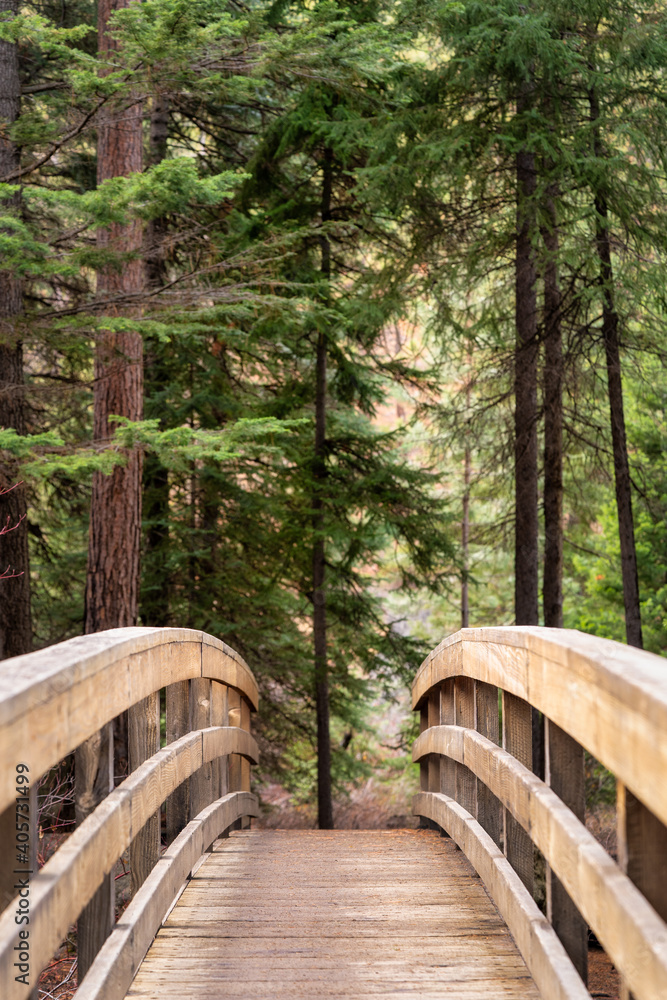 A Bridge Amongst Ponderosa Pine Trees and Manzanita Bushes in Bend Oregon A Bridge Amongst Ponderosa Pine Trees and Manzanita Bushes in Bend Oregon